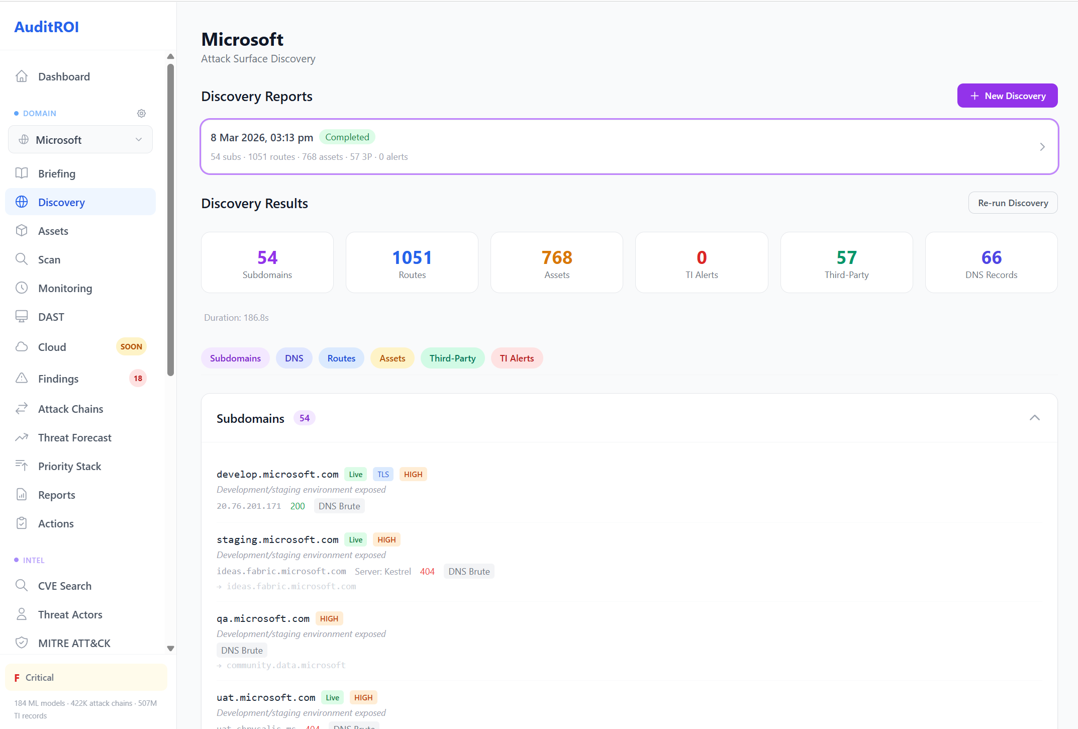 Discovery results showing subdomains, routes, and assets found